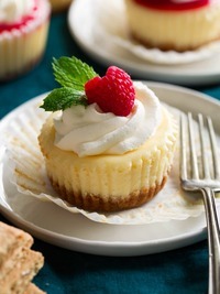 cheese cake Cupcake